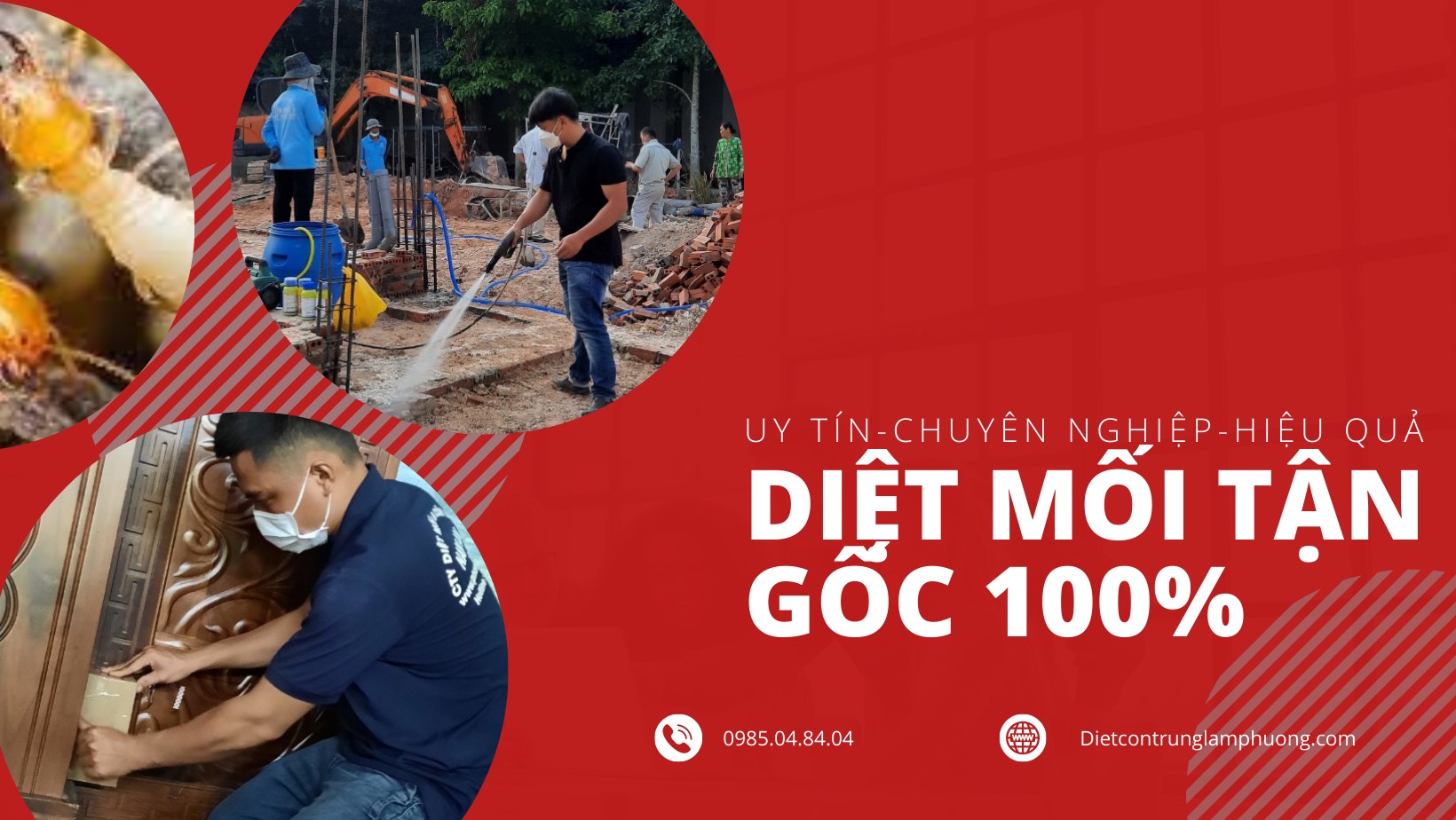 Công Ty Diệt Mối 